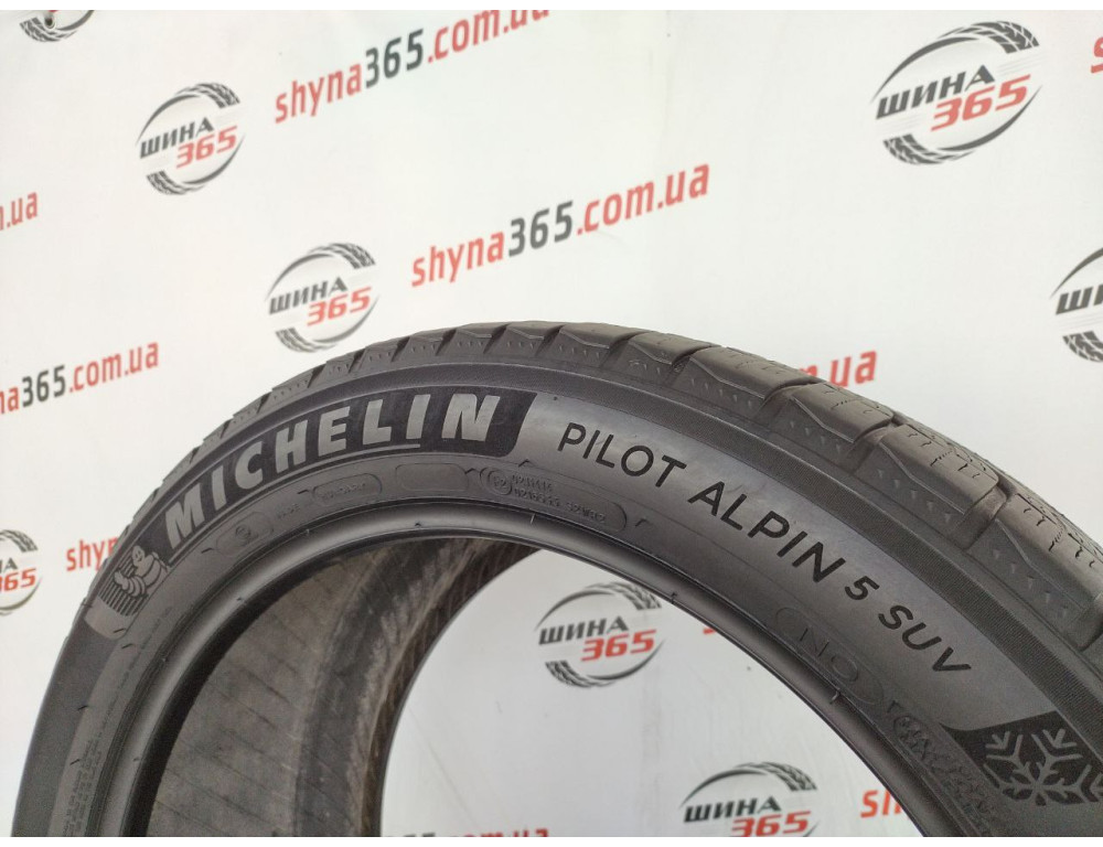 295/40 R20 MICHELIN PILOT ALPIN 5 SUV 5mm