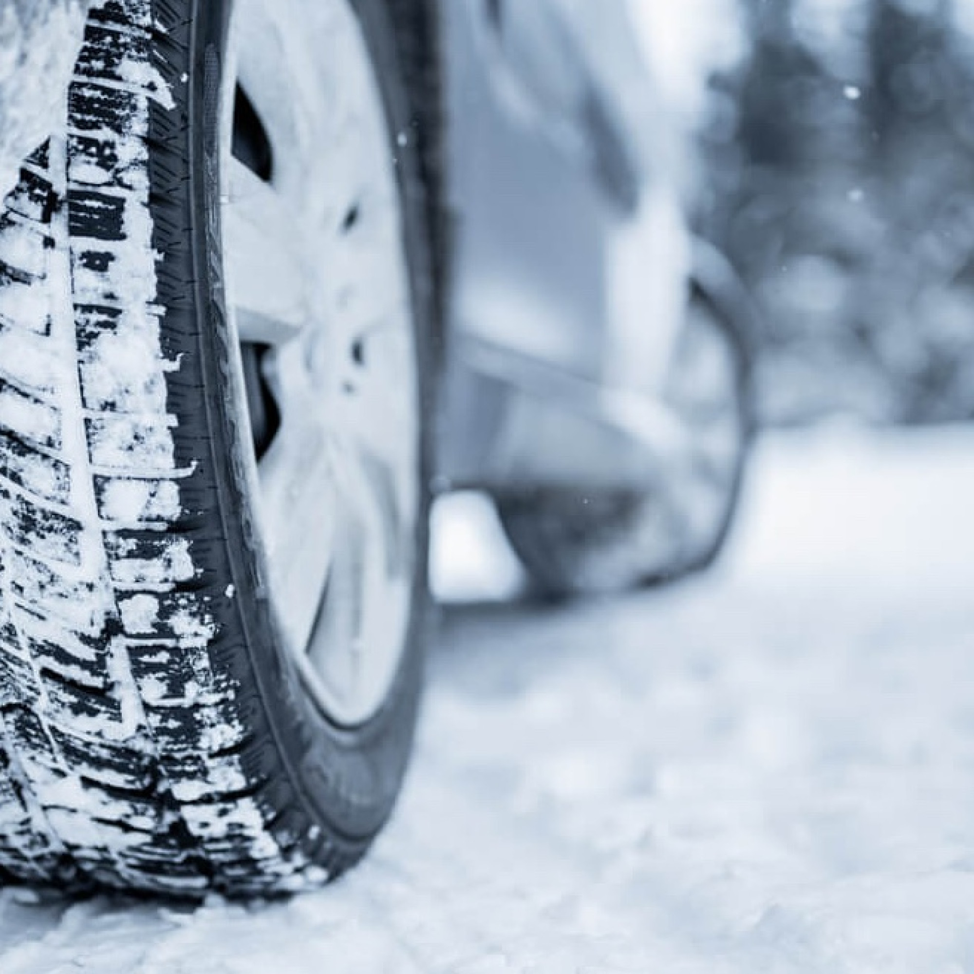 Почему не стоит экономить на зимних шинах и что о них следует знать водителю