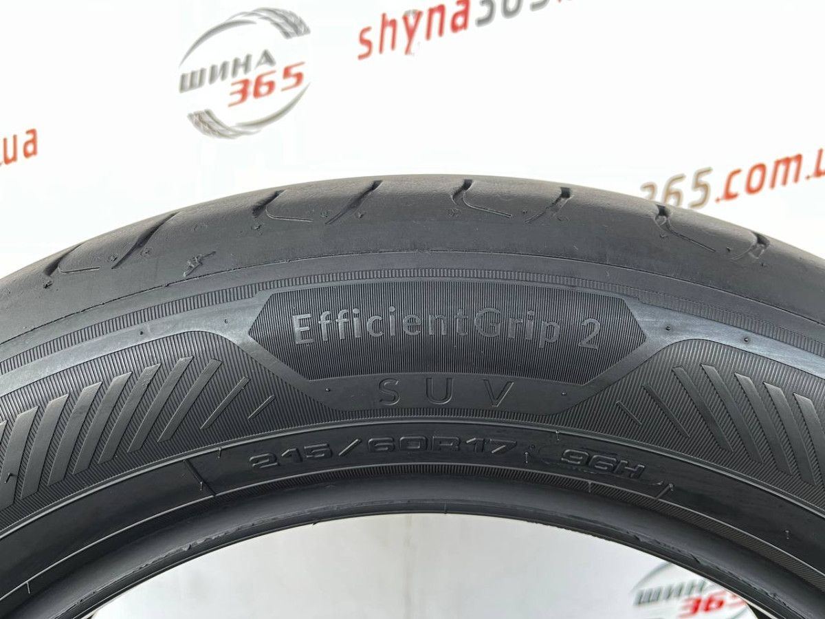 215/60 R17 GOODYEAR EFFICIENTGRIP 2 SUV 5mm