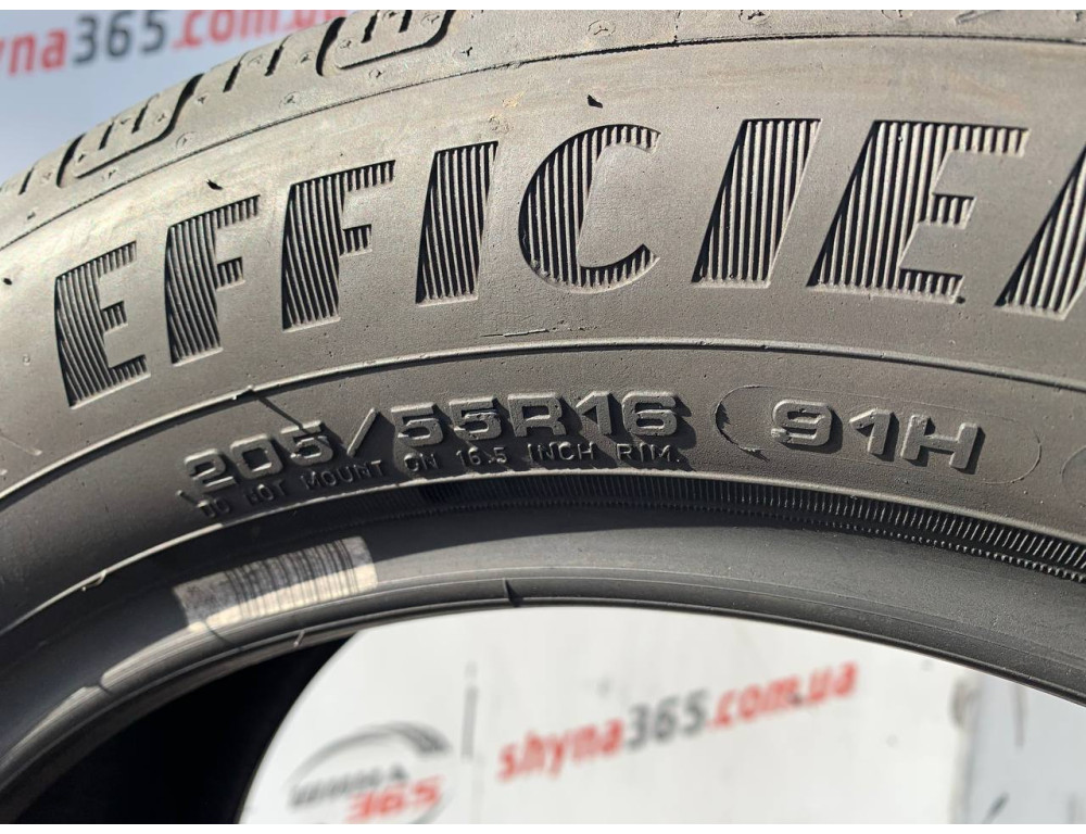 205/55 R16 GOODYEAR EFFICIENTGRIP PERFORMANCE * 5mm
