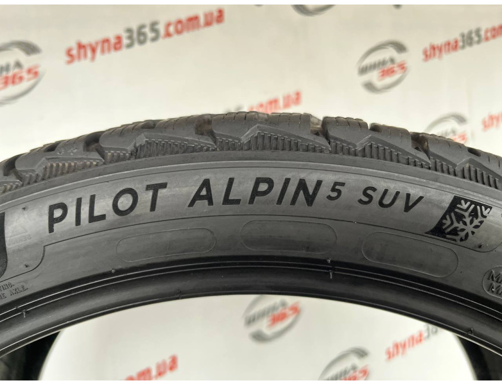 295/35 R21 MICHELIN PILOT ALPIN 5 SUV 6mm