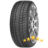 Gripmax Status Pro Winter 295/30 R22 103V XL